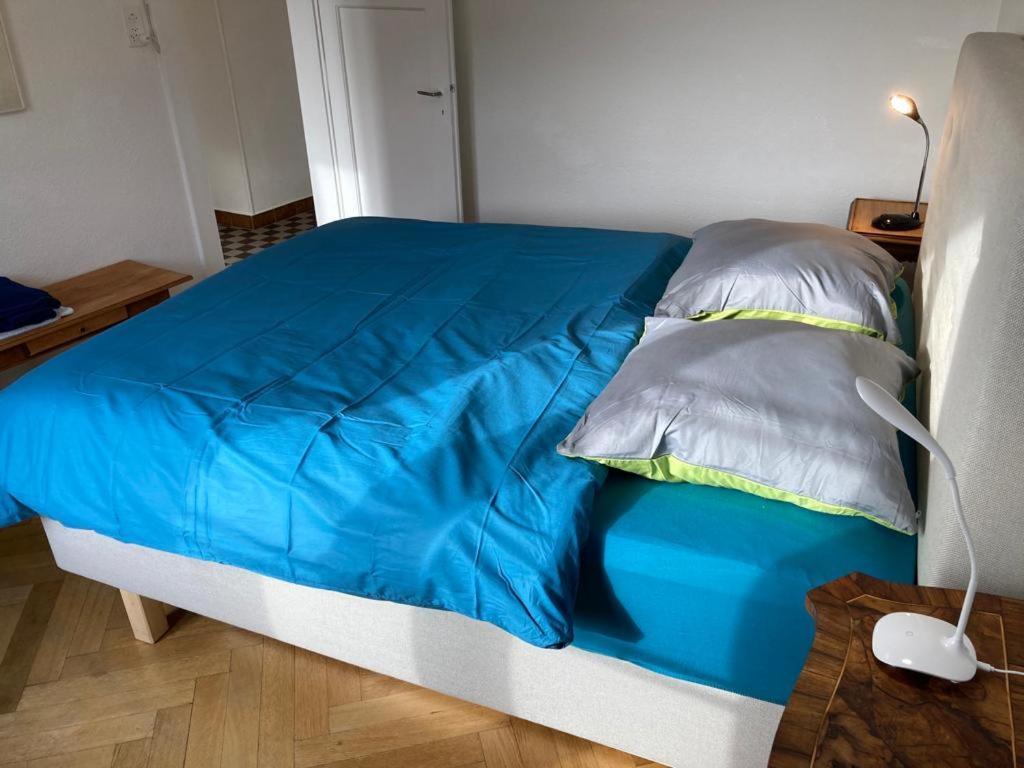 Joli 2 Pieces Dernier Etage, Lausanne Centre 외부 사진
