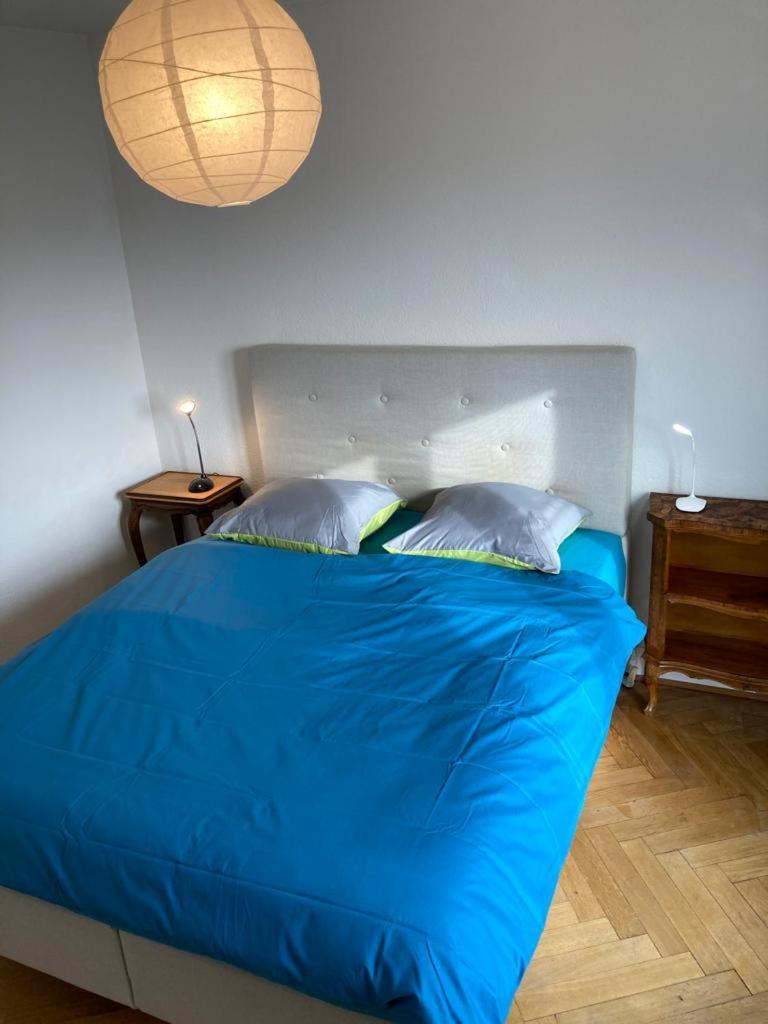 Joli 2 Pieces Dernier Etage, Lausanne Centre 외부 사진