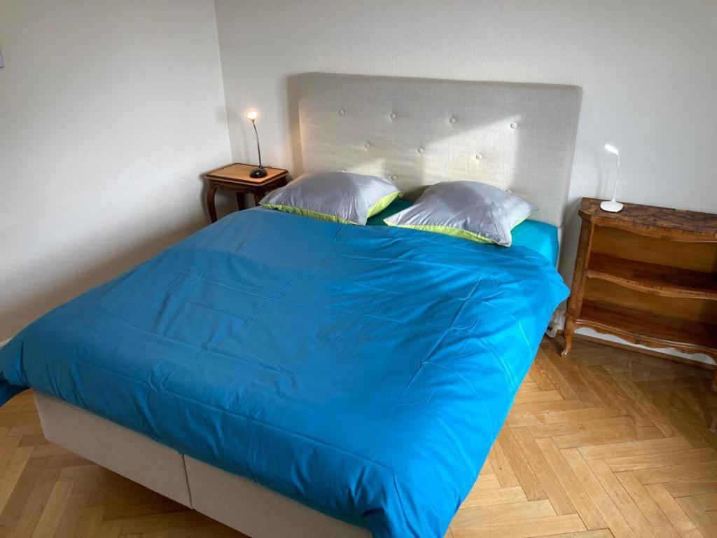 Joli 2 Pieces Dernier Etage, Lausanne Centre 외부 사진